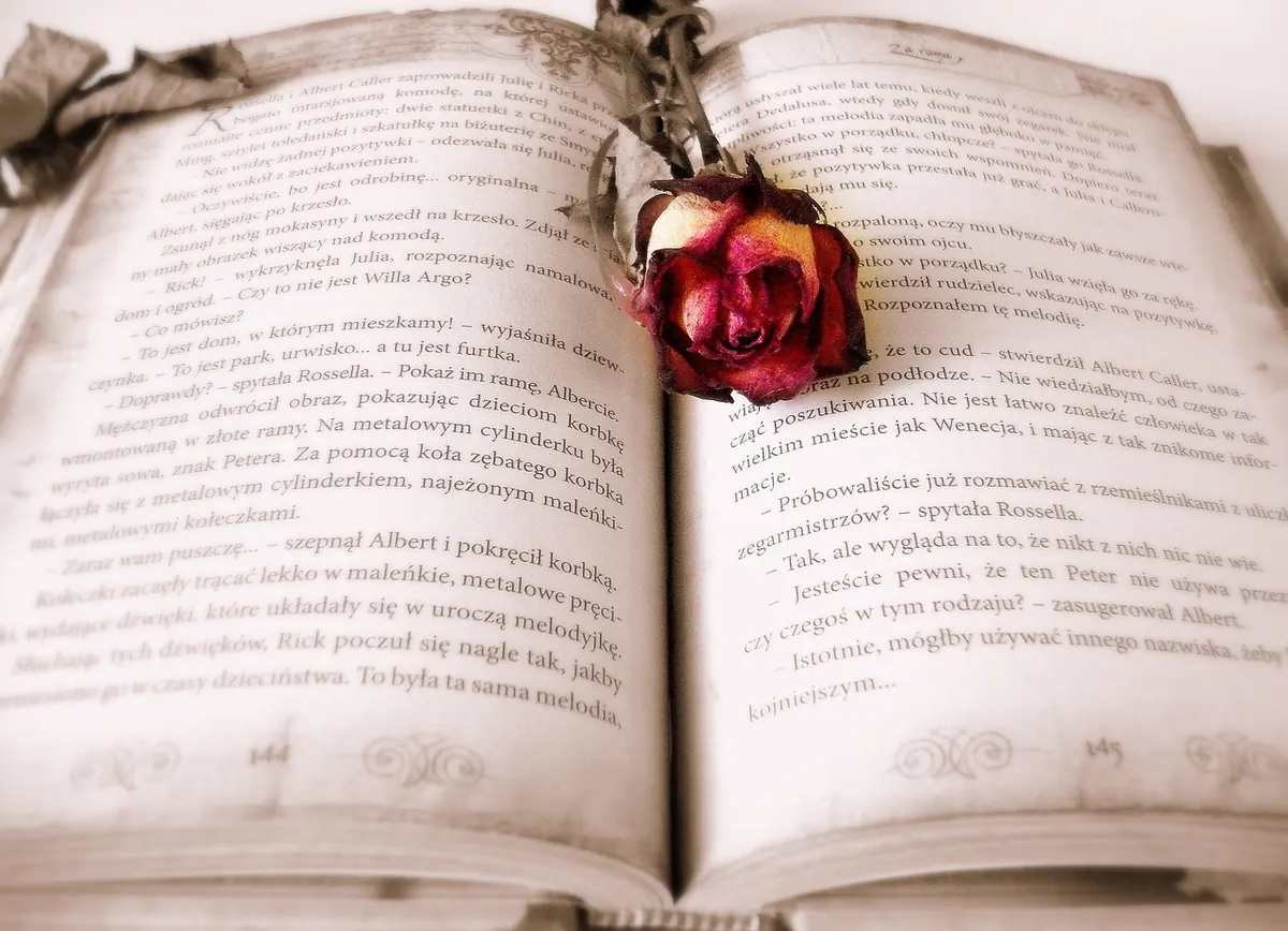 How to Read a Poem for Wisdom: A Beginner's Guide